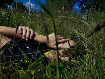 Midsection of person touching grass on field