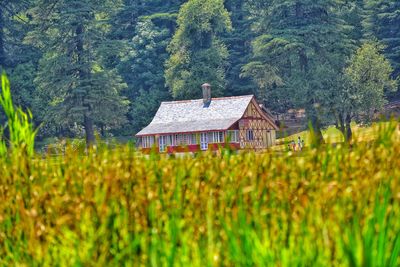 House on field by trees