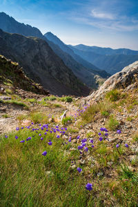 Scenic view of purple mountains against sky