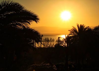Silhouette of palm trees on beach at sunset