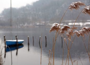 Close-up of frozen lake during winter