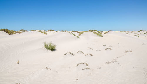 Scenic view of desert against clear blue sky