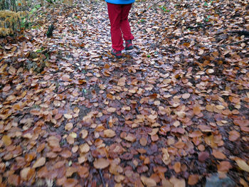 Low section of woman standing on autumn leaves