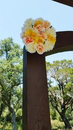 Low angle view of flowers against sky