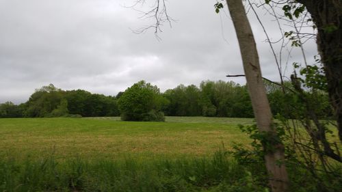 Scenic view of field against cloudy sky