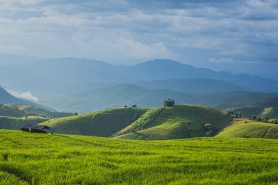 Scenic view of agricultural field against sky