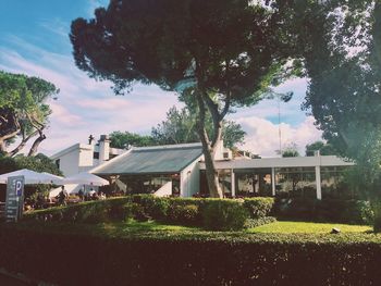 Houses and trees against sky