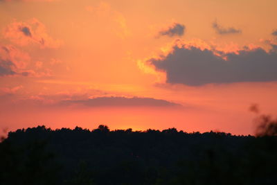 Silhouette of trees against sky during sunset