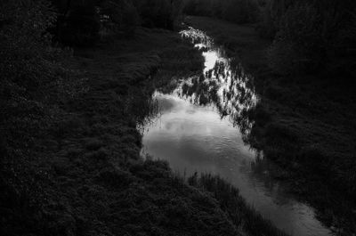 High angle view of river amidst trees in forest
