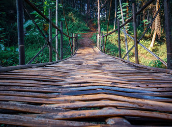 View of footbridge in forest