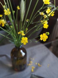 Close-up of yellow flower pot on table