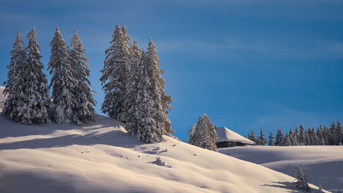 Scenic view of snow covered mountain against sky