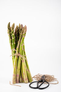 Close-up of bread on table against white background