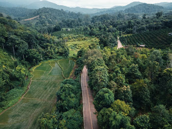 High angle view of trees on landscape