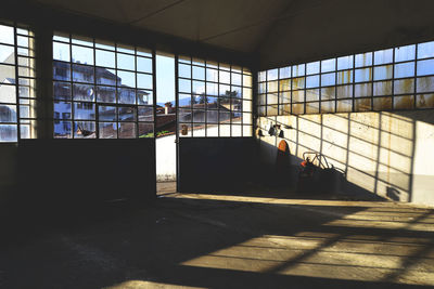 View of woman standing on floor