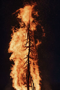 Low angle view of bonfire against black background