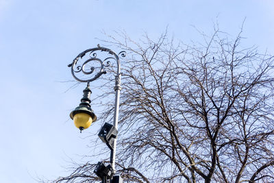 Low angle view of street light by bare tree against sky