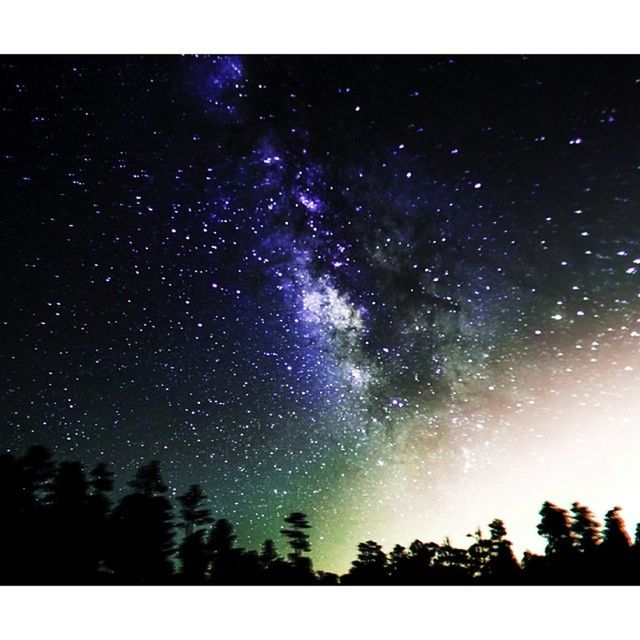 transfer print, night, tree, star - space, scenics, tranquil scene, beauty in nature, tranquility, star field, sky, astronomy, nature, low angle view, auto post production filter, star, galaxy, infinity, idyllic, space, silhouette