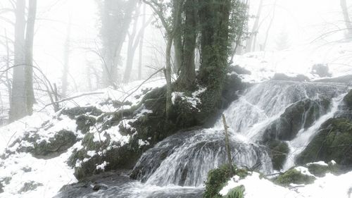 Scenic view of waterfall in forest during winter