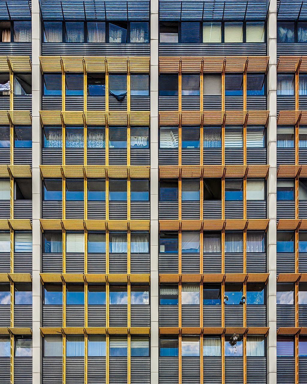 FULL FRAME SHOT OF BUILDING WINDOWS