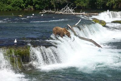 View of waterfall