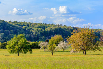 Scenic view of field against cloudy sky