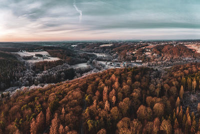 Aerial view of forest against sky during winter