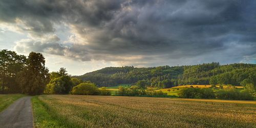 Scenic view of field against sky