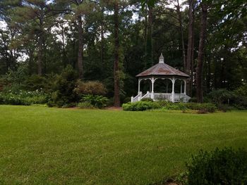 Built structure against trees