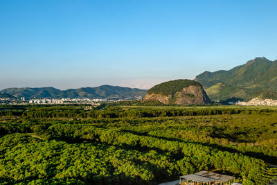 Scenic view of agricultural field against clear sky