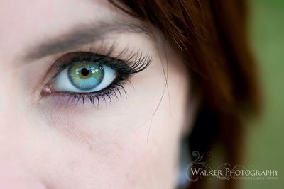 human eye