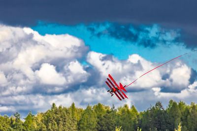 Low angle view of trees against sky