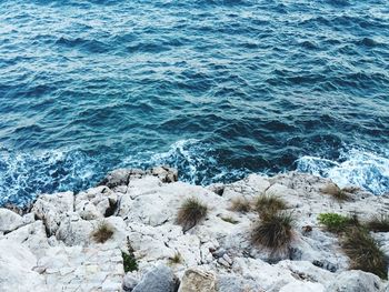 High angle view of beach