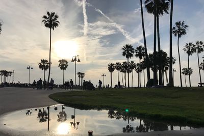 Panoramic view of palm trees against sky