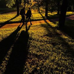 Shadow of woman on tree trunk