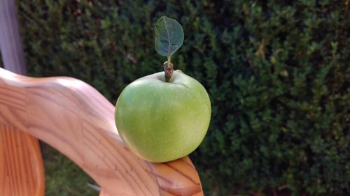 Close-up of person holding apple