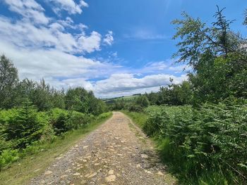 Empty road along plants and trees against sky