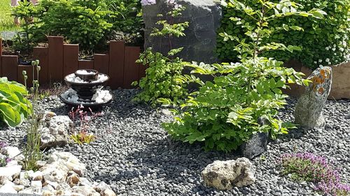 High angle view of plants against trees