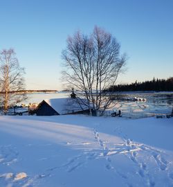 Bare trees on snow covered field against sky