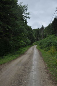 Empty road amidst trees in forest against sky