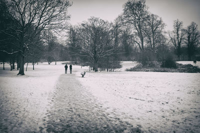 Snow covered field against sky