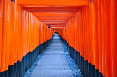 One thousand torii