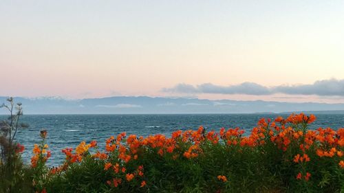 Scenic view of sea against clear sky during sunset