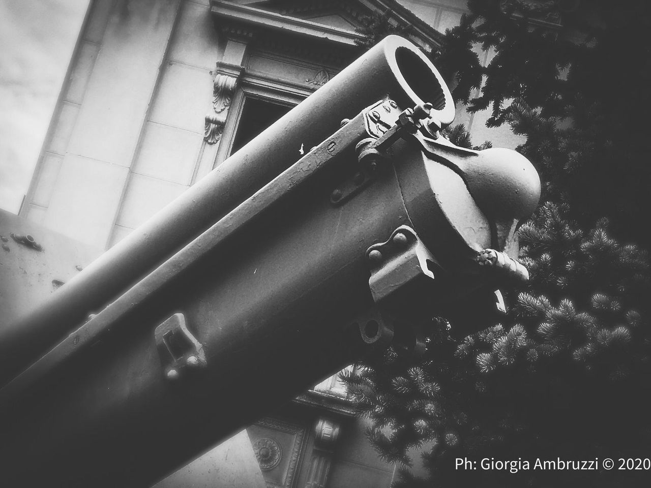 black and white, black, monochrome, monochrome photography, white, darkness, day, architecture, nature, built structure, plant, outdoors, weapon, low angle view