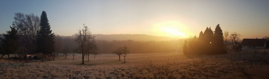 Panoramic shot of trees on field against sky during sunset