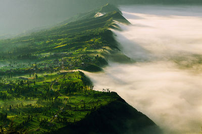 Scenic view of cemoro lawang village