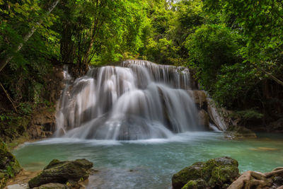 Scenic view of waterfall in forest