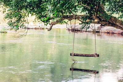 Scenic view of lake by trees