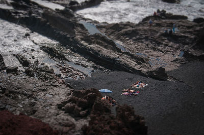 High angle view of toy on shore