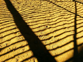 Full frame shot of tiled floor